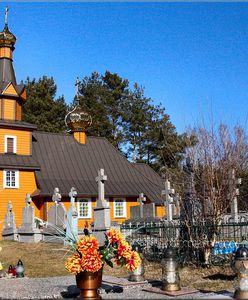 Tam, gdzie zaczyna się Puszcza Białowieska