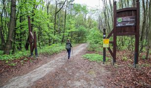Co można robić, a co jest zakazane w polskich parkach narodowych?