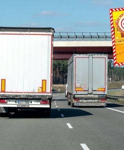 Żywe szkodniki w produktach z Ukrainy. Służby zatrzymały kilkadziesiąt ton