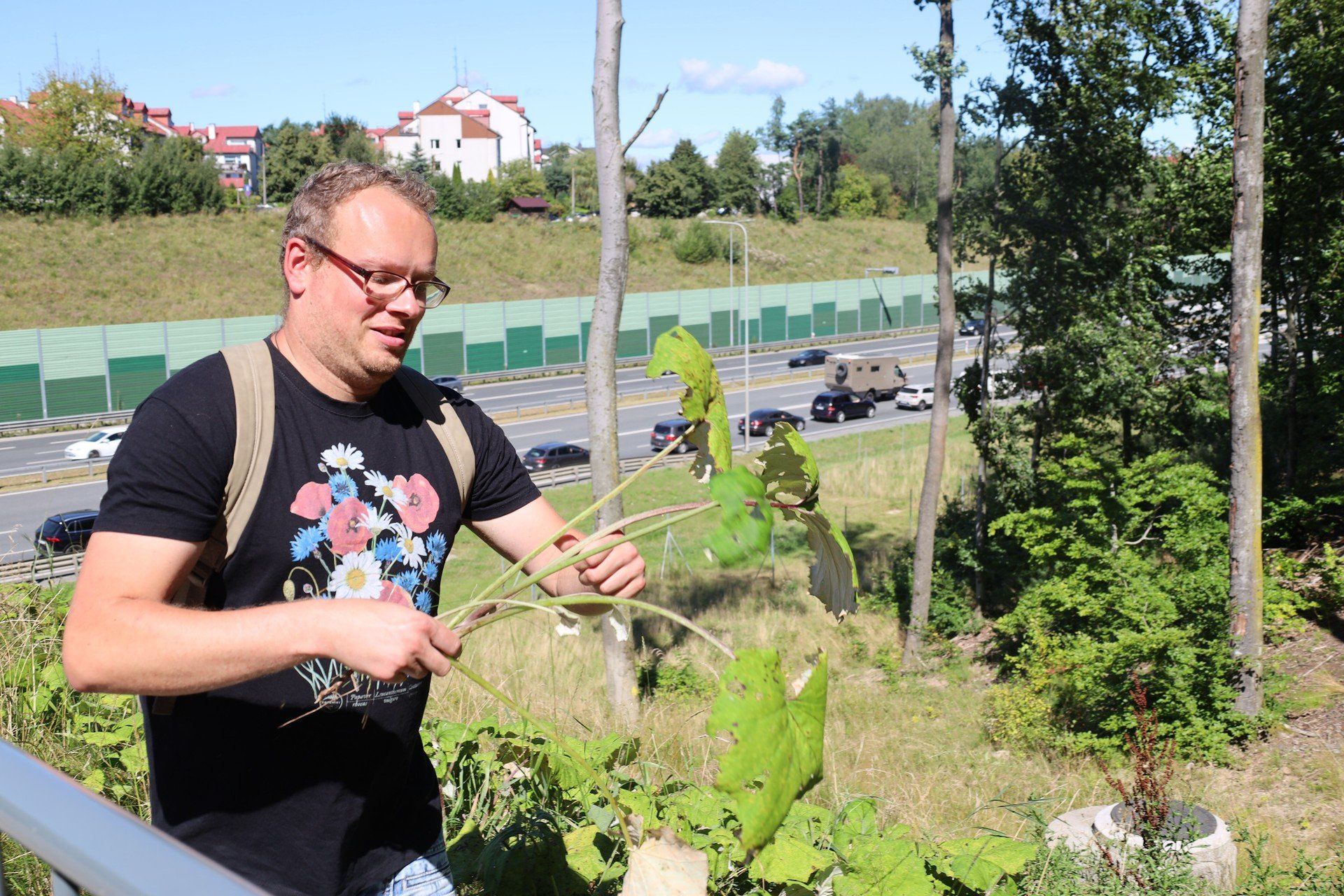 Spacery zielarskie z fundacją Ziołogród