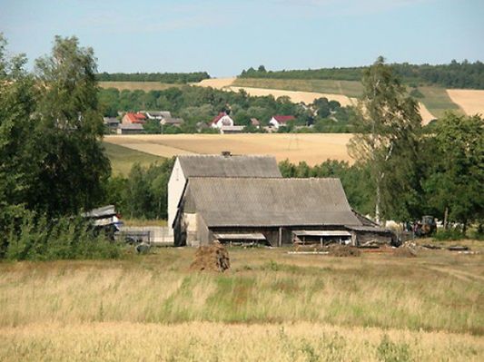 Obraz