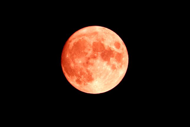 Truskawkowy Księżyc pojawi się na niebie już we wtorek 14 czerwca 