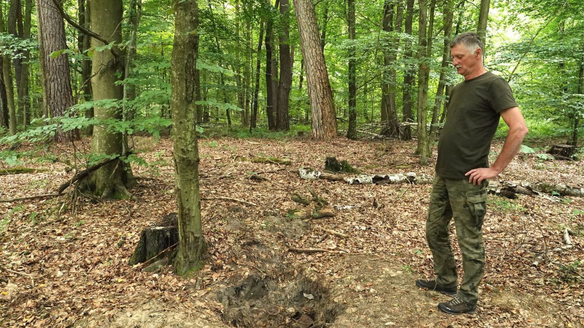 Kolejne znalezisko w lubaczowskich lasach. Tym razem młocarnia