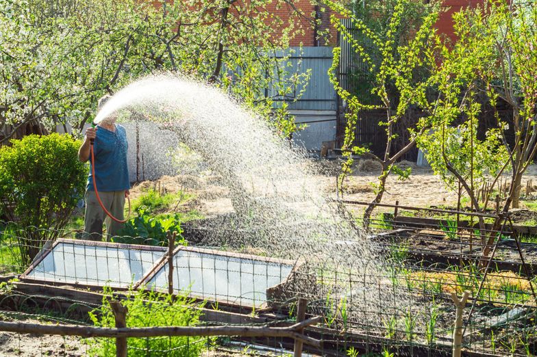 9,4 tysiąca ludzi nie ma wody, bo sąsiedzi podlewają ogródki