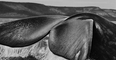 10 fotograficznych filmów dokumentalnych na weekend