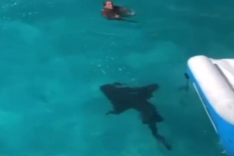 Bahamy. Rekin podpłynął do kobiety. Na wszystko patrzył jej syn