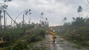 Podkarpacie: Burzowa noc. Strażacy musieli interweniować kilkadziesiąt razy