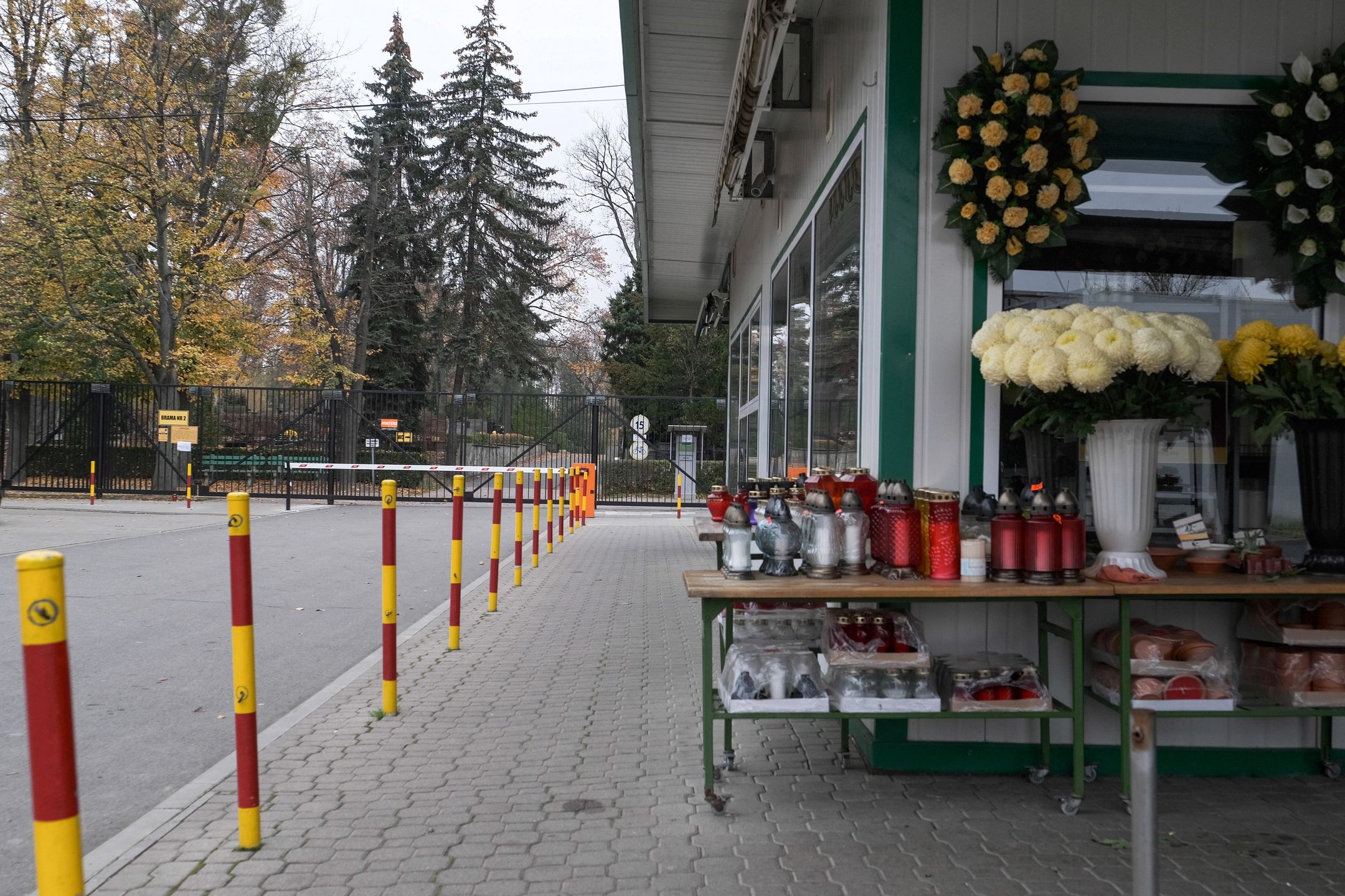 Zamknięte cmentarze. Zabawa dla wrocławian. Można wygrać drzewo