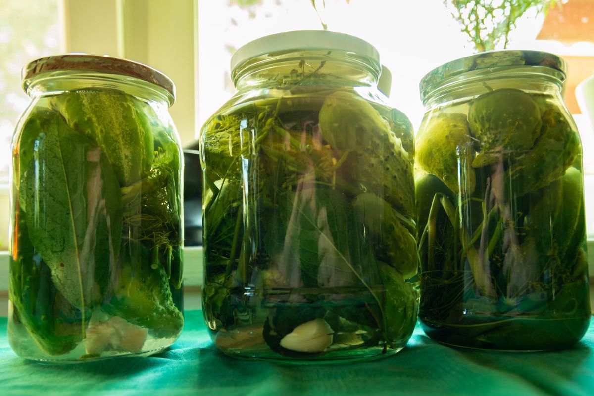 Vatican-style cucumbers - Delicacies