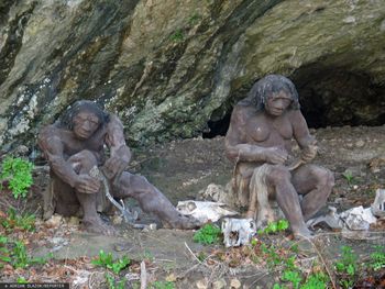Tam mieszkali neandertalczycy. Naukowcy odkryli zagadkę Jaskini Stajnia