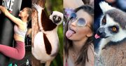 Lemury, które wyglądają jak Julia Wieniawa (ZDJĘCIA)