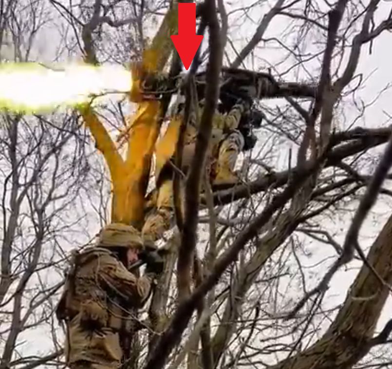 Żołnierz wspiął się na drzewo. Na jego ramieniu spoczywała groźna broń