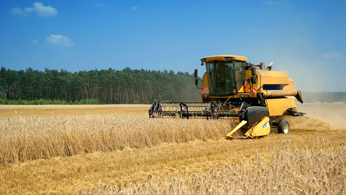 Wartość polskiego eksportu na Ukrainę to ponad 800 mln euro 