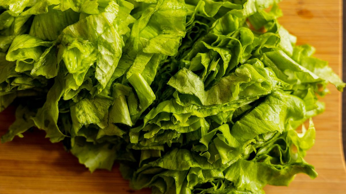 Wartość sałaty zależy w dużej mierze od odmiany