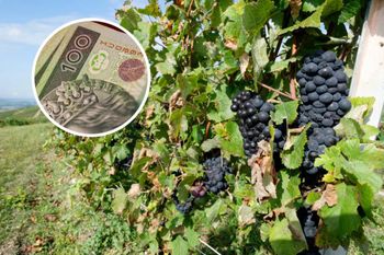 Polacy wyjeżdżają pracować do Francji. Ile można zarobić?