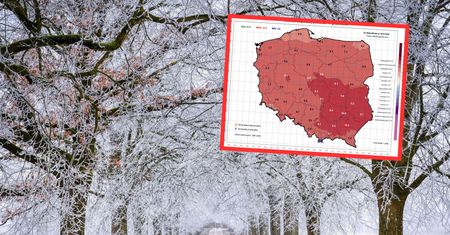 Anomalia pogodowa w Polsce. Padł grudniowy rekord