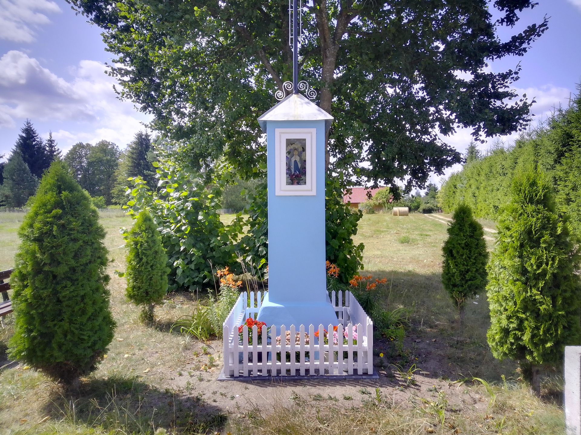 MyPhone Pocket Pro. Genialny smartfon za 500 zł, który zaskoczył mnie... wszystkim 11