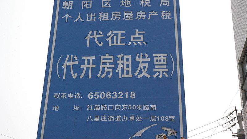 Ta koszulka zrobi z ciebie poliglotę! 1