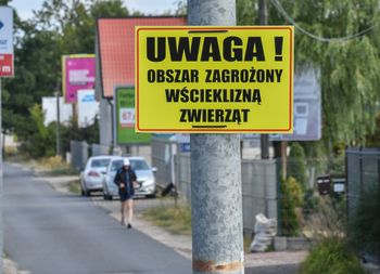 Dłużniów: Tym razem zakażona kuna. Ósme ognisko wścieklizny w tym roku na Lubelszczyźnie