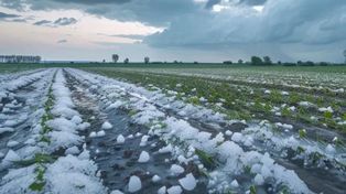 Ruszyła pomoc dla rolników poszkodowanych przez żywioły. Jednak nie dla wszystkich