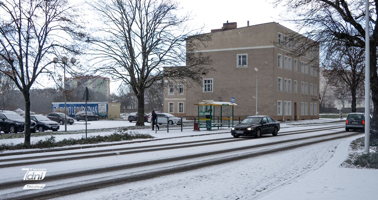 Piła, zima, śnieg