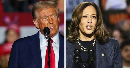 Harris czy Trump? Opublikowano ostatni sondaż przed wyborami w USA