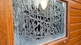 5 tys. zł kary dla działkowców. Urzędnicy mierzą odległości od płotu