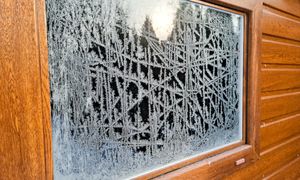 5 tys. zł kary dla działkowców. Urzędnicy mierzą odległości od płotu