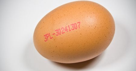 Jak kupić dobre jajka?