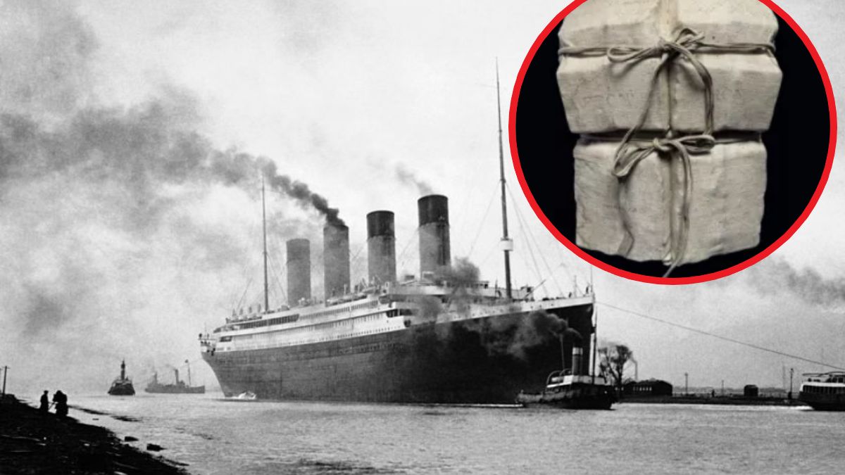 Kamizelka ocalałej trafiła na aukcję