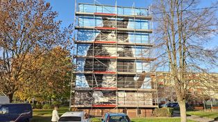 Szczecin: Najsłynniejszy kot Polski ma swój mural. Gacka można oglądać na jednej z miejskich ścian