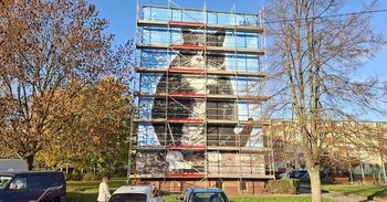 Szczecin: Najsłynniejszy kot Polski ma swój mural. Gacka można oglądać na jednej z miejskich ścian