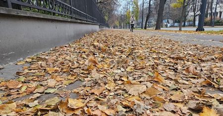 Liście na chodnikach i ścieżkach rowerowych. Kto odpowiada za ich uprzątnięcie? Za to grozi mandat do 500 zł!