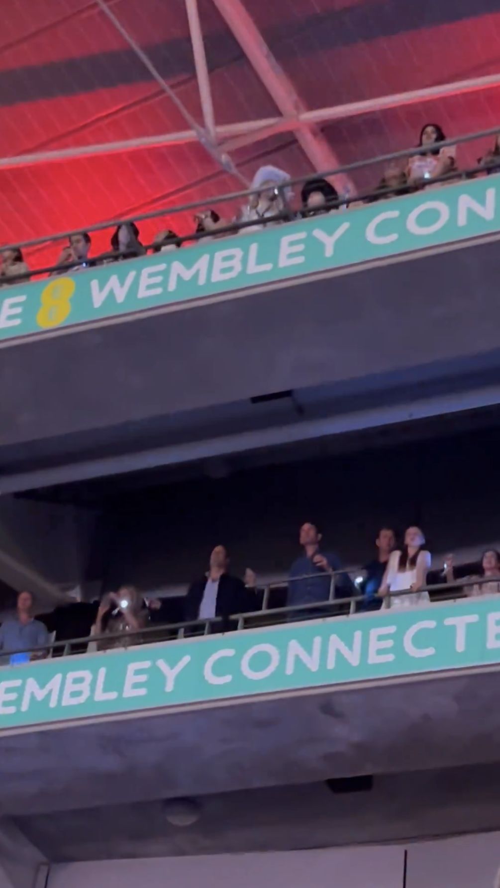 Prince William at the Taylor Swift concert