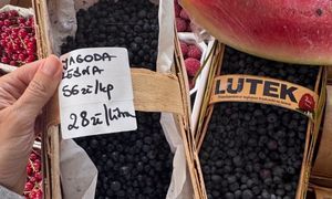 Poszła na ryneczek w Rzeszowie. Oto ceny jagód