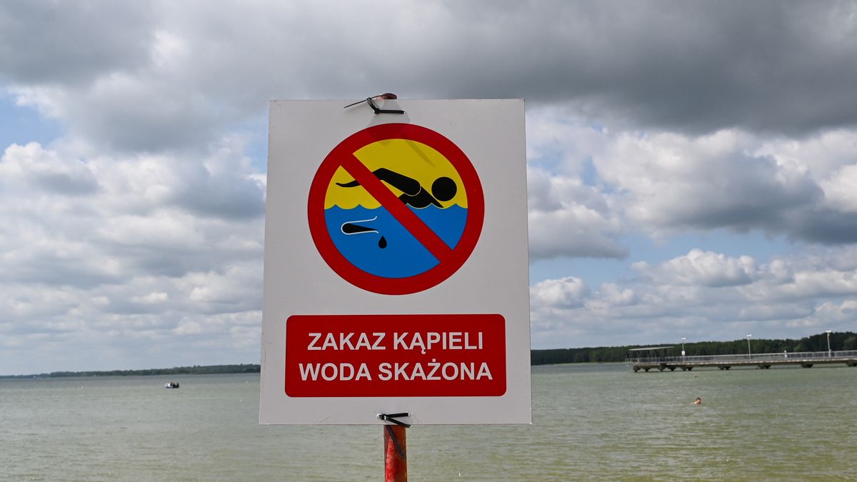 Zakaz kąpieli na jeziorze Miedwie i trzech innych kąpieliskach