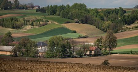 Miasto czy wieś? Zgadnij chociaż połowę