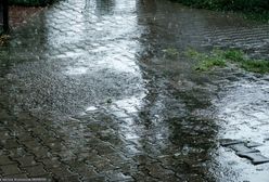 Synoptycy o pogodzie na długi weekend. Te zjawiska będą dominować "każdego dnia"