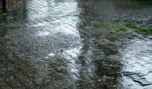 Synoptycy o pogodzie na długi weekend. Te zjawiska będą dominować "każdego dnia"
