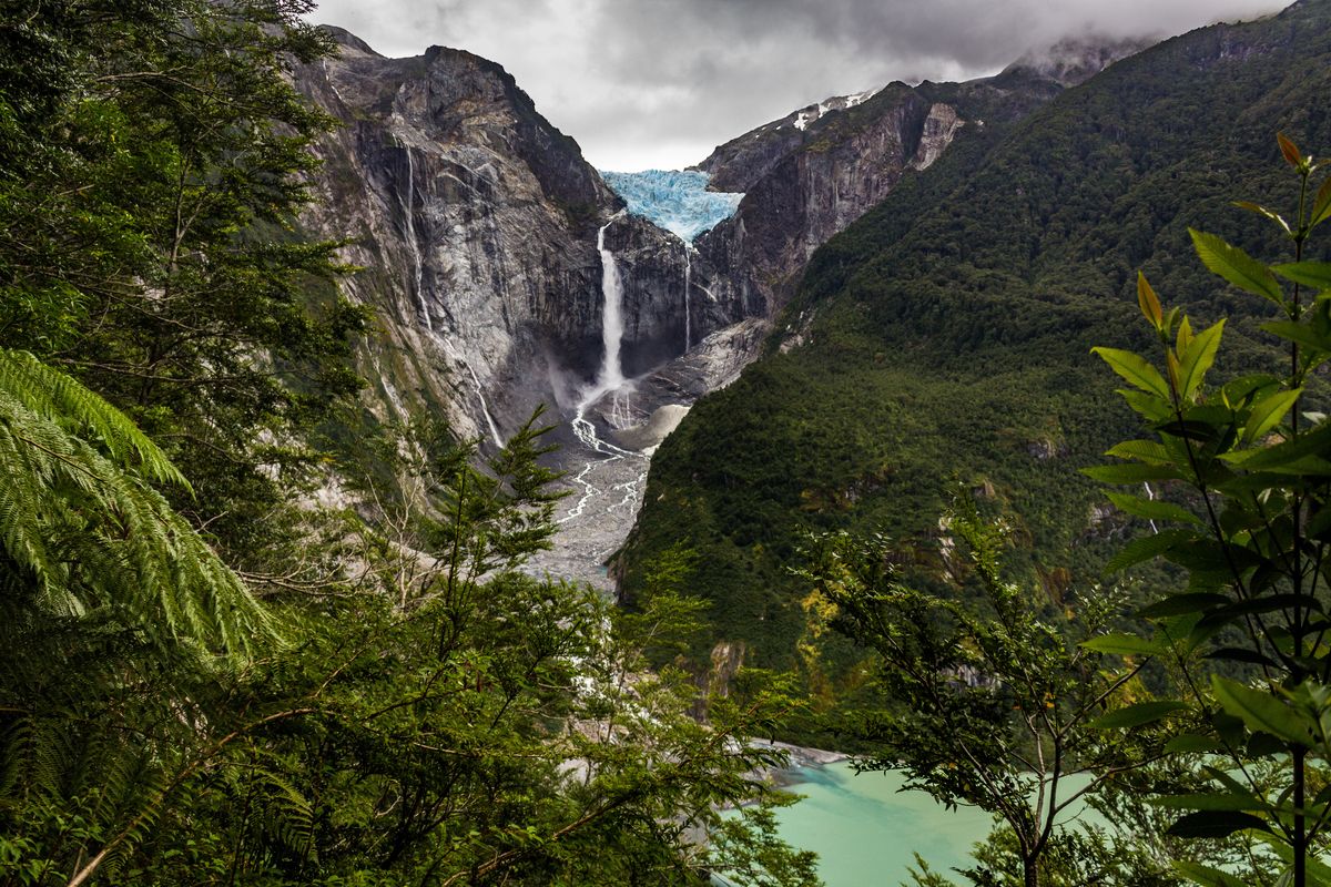 Turysta uchwycił niezwykły moment podczas pobytu w parku narodowym w Chile 
