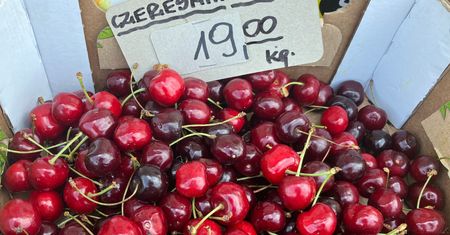 Sadownicy trzymają to w tajemnicy. Tak rozpoznasz robaczywe czereśnie