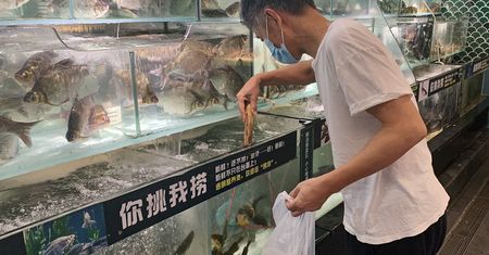 Dziennikarze weszli na targ w Wuhan. Huczy tam od plotek