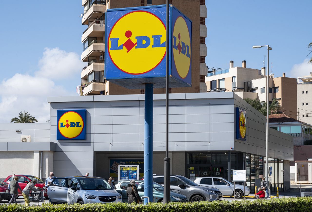 Lidl szuka stażystów 