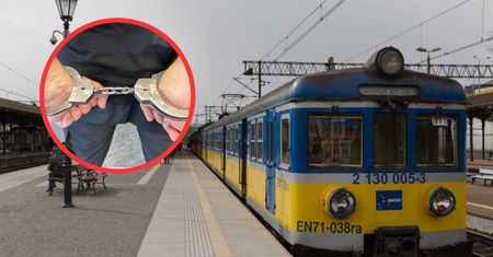 W Gdańsku zatrzymano "uczciwego złodzieja". Grozi mu 10 lat więzienia