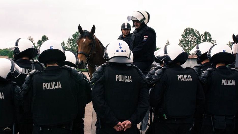 Warszawa. 14 koni pełni służbę policji. KSP ogłasza przetarg na zakup kolejnych