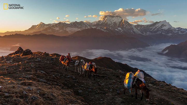 National Geographic Photo Contest 2015 - galeria pierwszych imponujących zdjęć zgłoszonych do konkursu 8