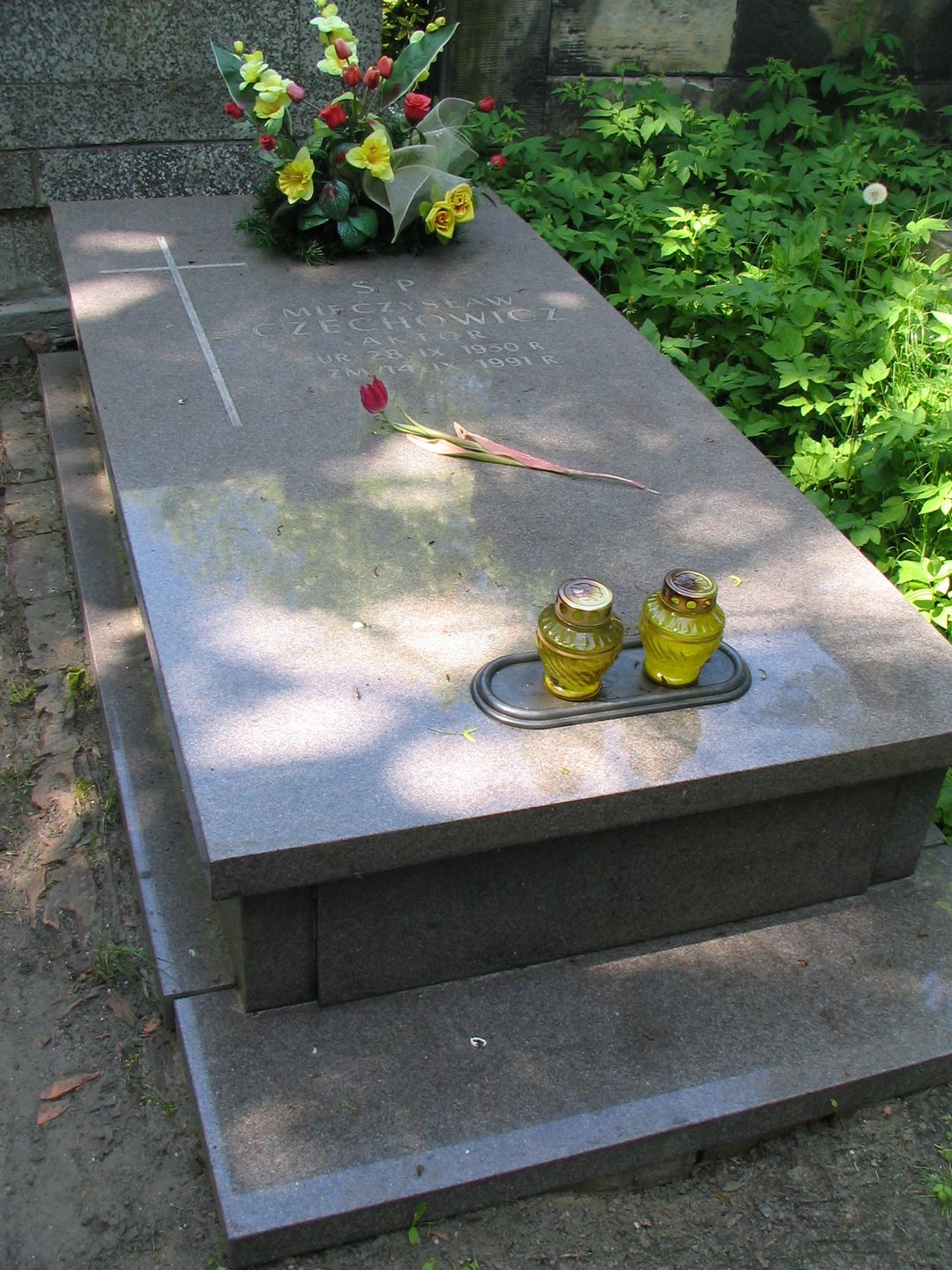 Grób Mieczysława Czechowicza