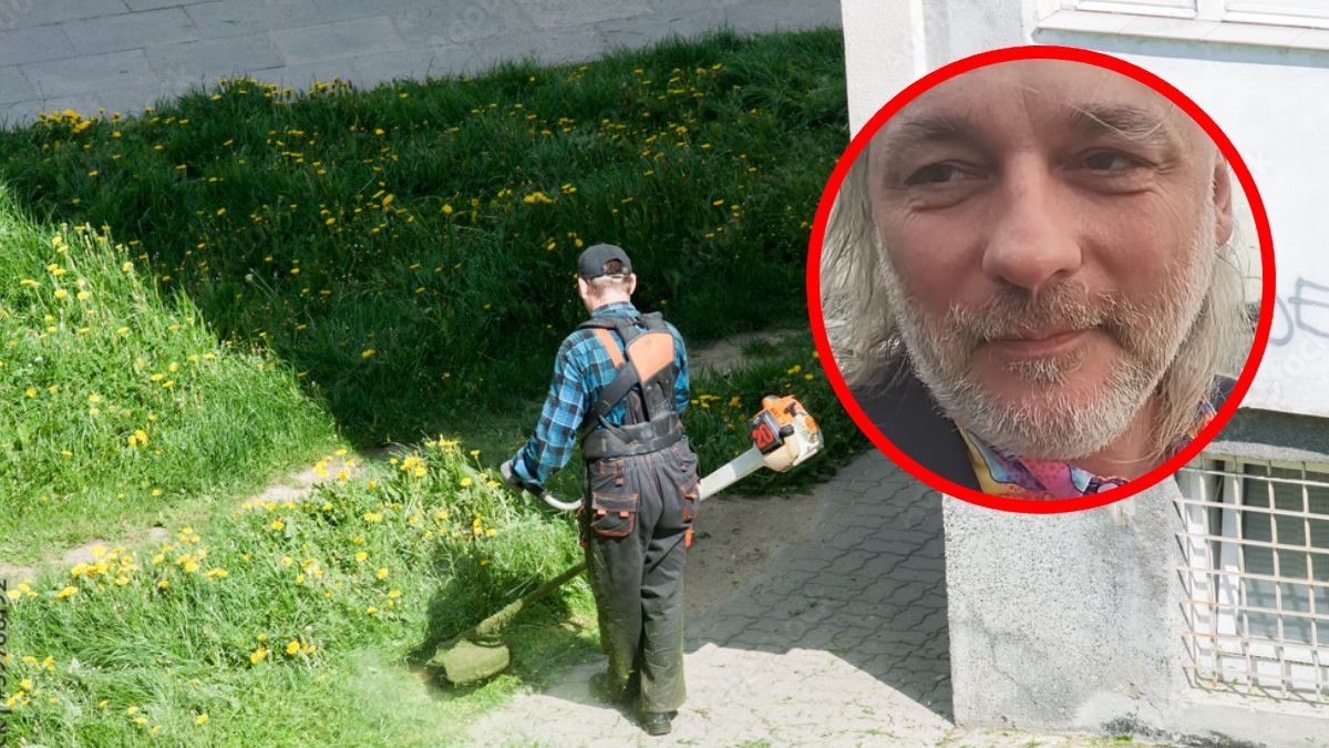 Prof. Łukasz Łuczaj opowiada w rozmowie z o2.pl o koszeniu miejskich trawników