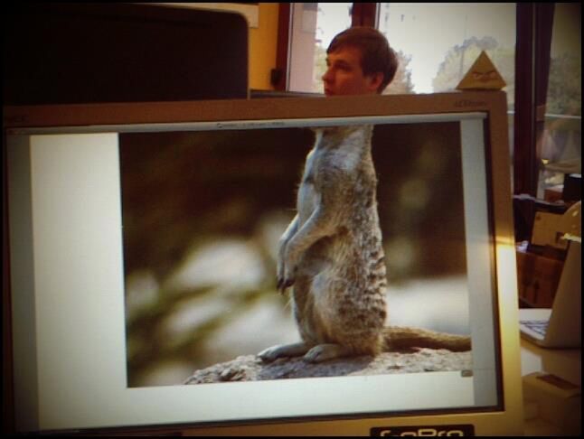 To było świetne 7 lat. Dzięki! 3