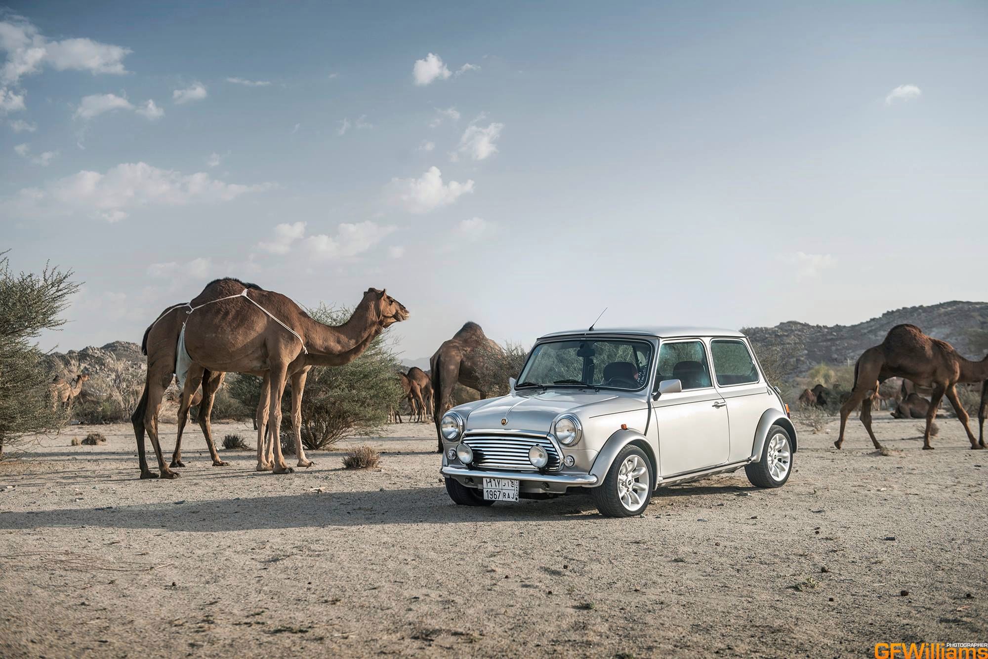 Najlepsi fotografowie motoryzacyjni: GFWilliams [galeria zdjęć] 8